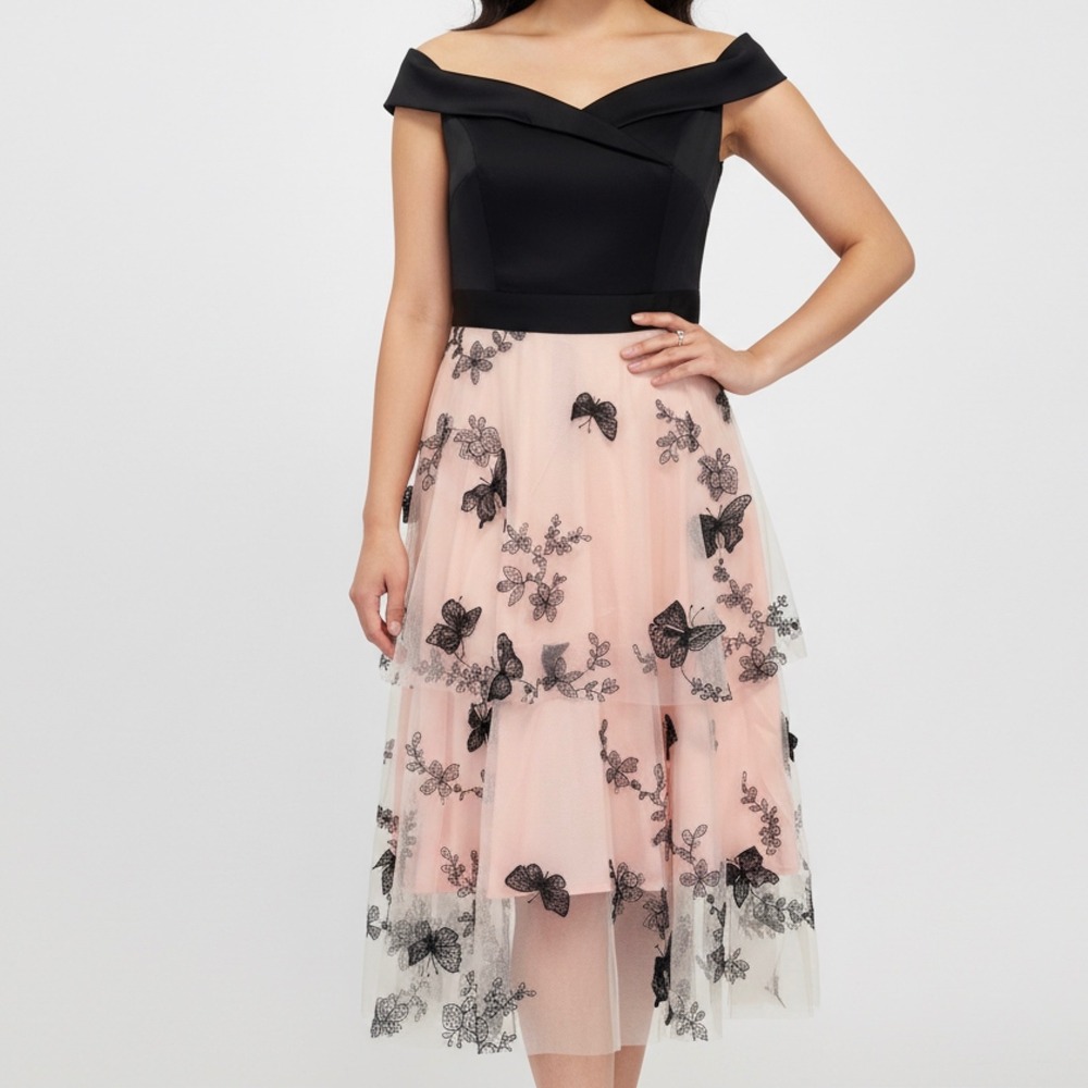 Romantic Whimsygoth Lace Butterfly Blush Tulle Fairycore NWT Dress Off Shoulder